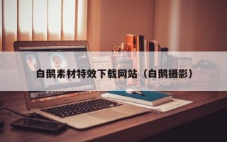 乳山白鹅素材特效下载网站（白鹅摄影）